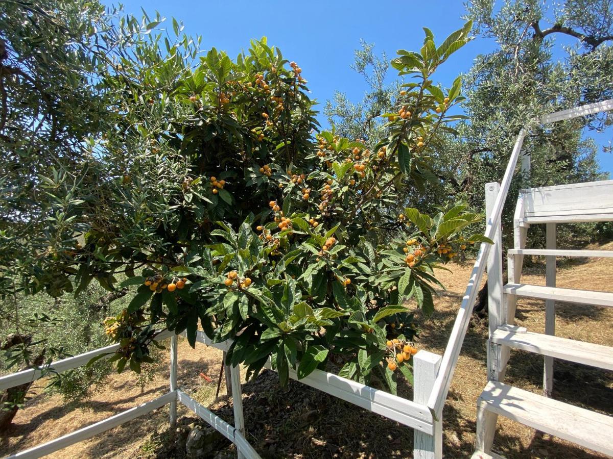 I Giardini Di Margius Villa Itri Bagian luar foto