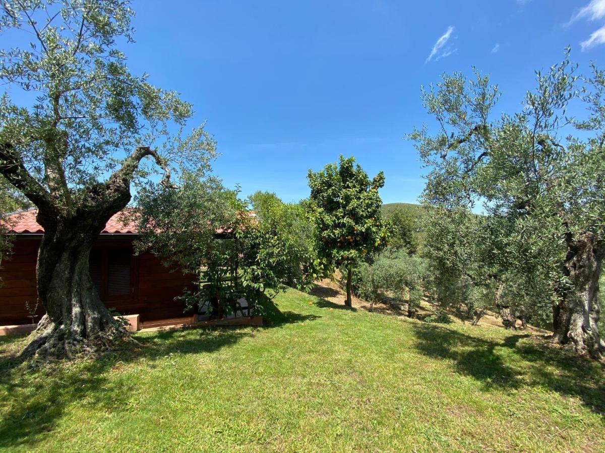 I Giardini Di Margius Villa Itri Bagian luar foto